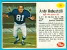 Andy Robustelli