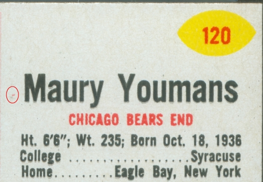 Maury Youmans Raisin Bran 14 oz. 120 V1
