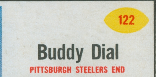 Buddy Dial Bran Flakes 16 oz. 122 V1