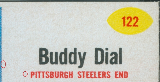 Buddy Dial Bran Flakes 16 oz. 122 V2