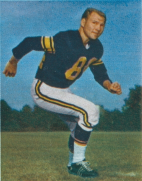 Buddy Dial Bran Flakes 16 oz. 122 V1