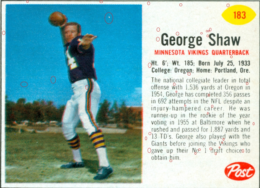 George Shaw Oat Flakes 10 oz. 183 V1